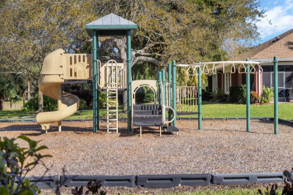 4174 Overture Circle, Unit 519 Bradenton, FL 34209 - Photo 53 of 53 a view of a park with slide