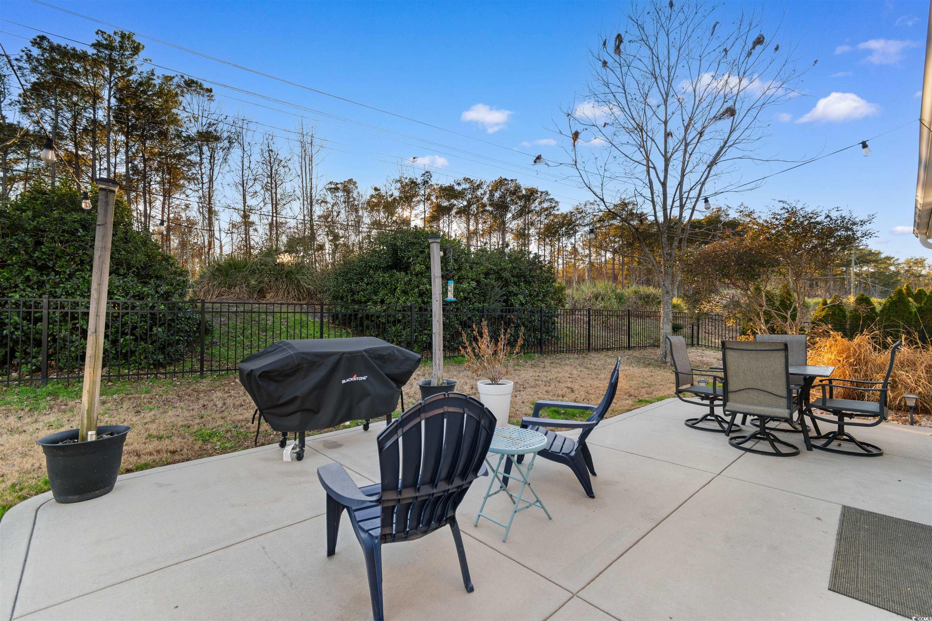 737 Bonita Loop Myrtle Beach, SC 29588 - Photo 30 of 39