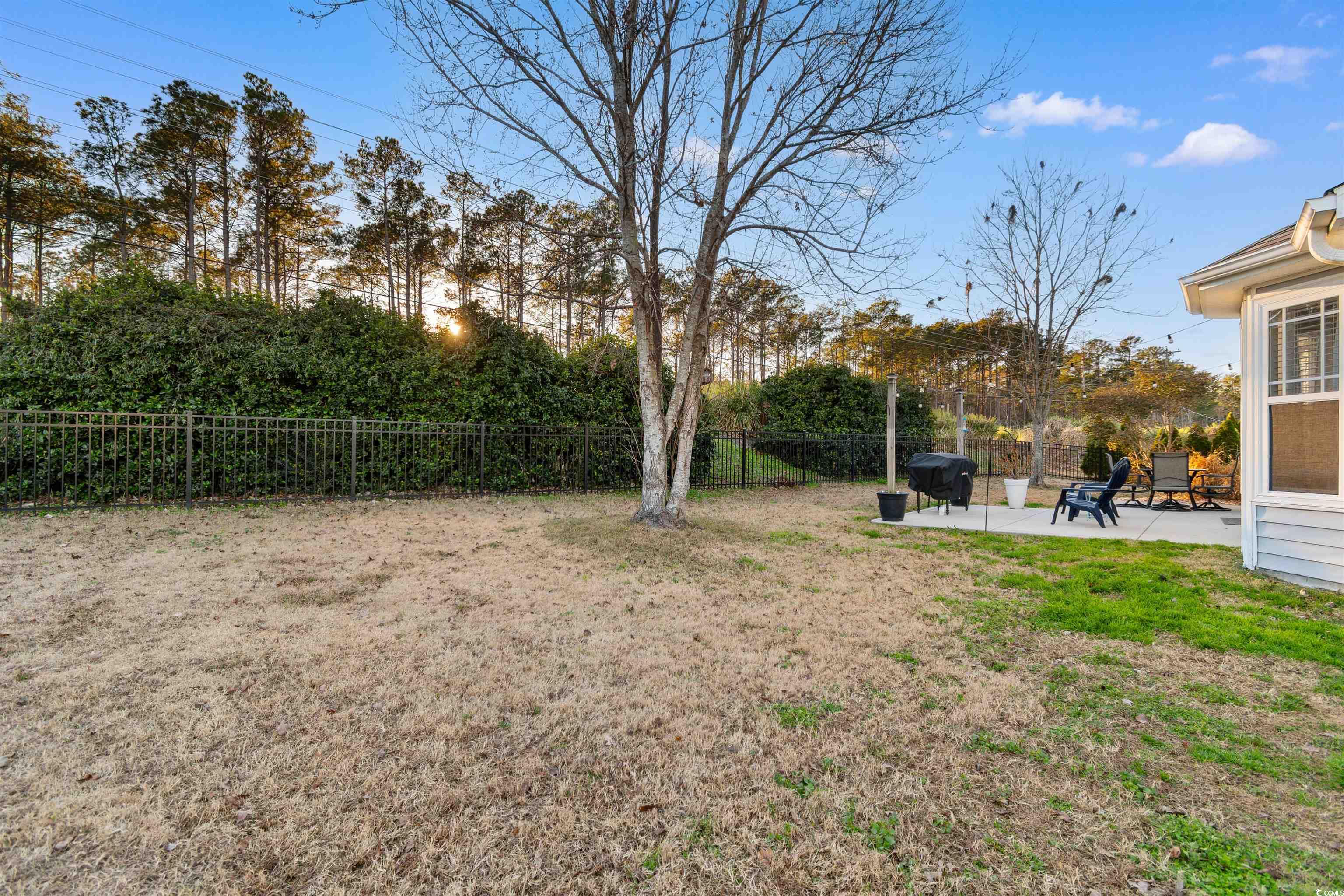 737 Bonita Loop Myrtle Beach, SC 29588 - Photo 31 of 39