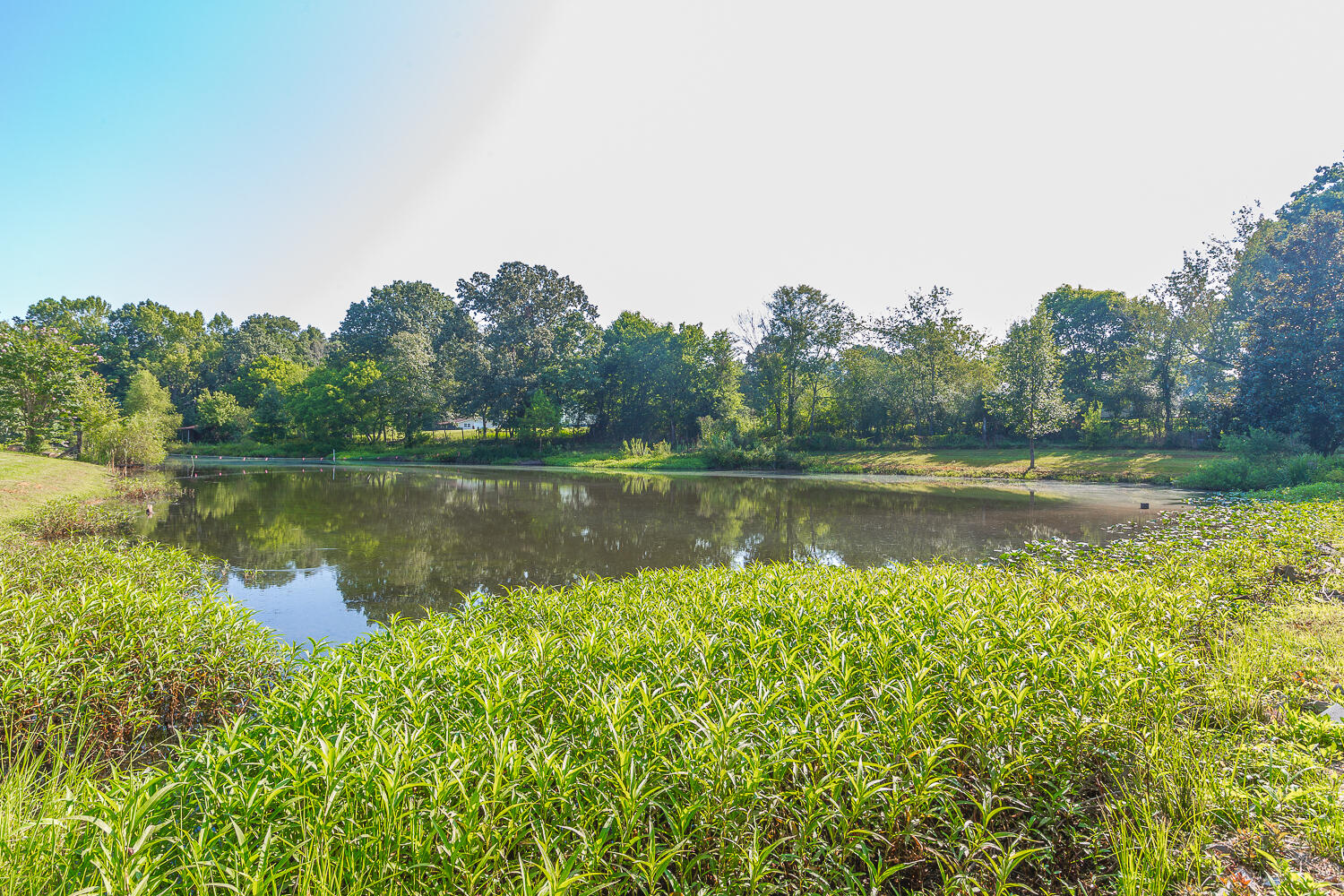 443 Weber Road Crandall, GA 30711 - Photo 34 of 44 443 Webber Road HD_-7
