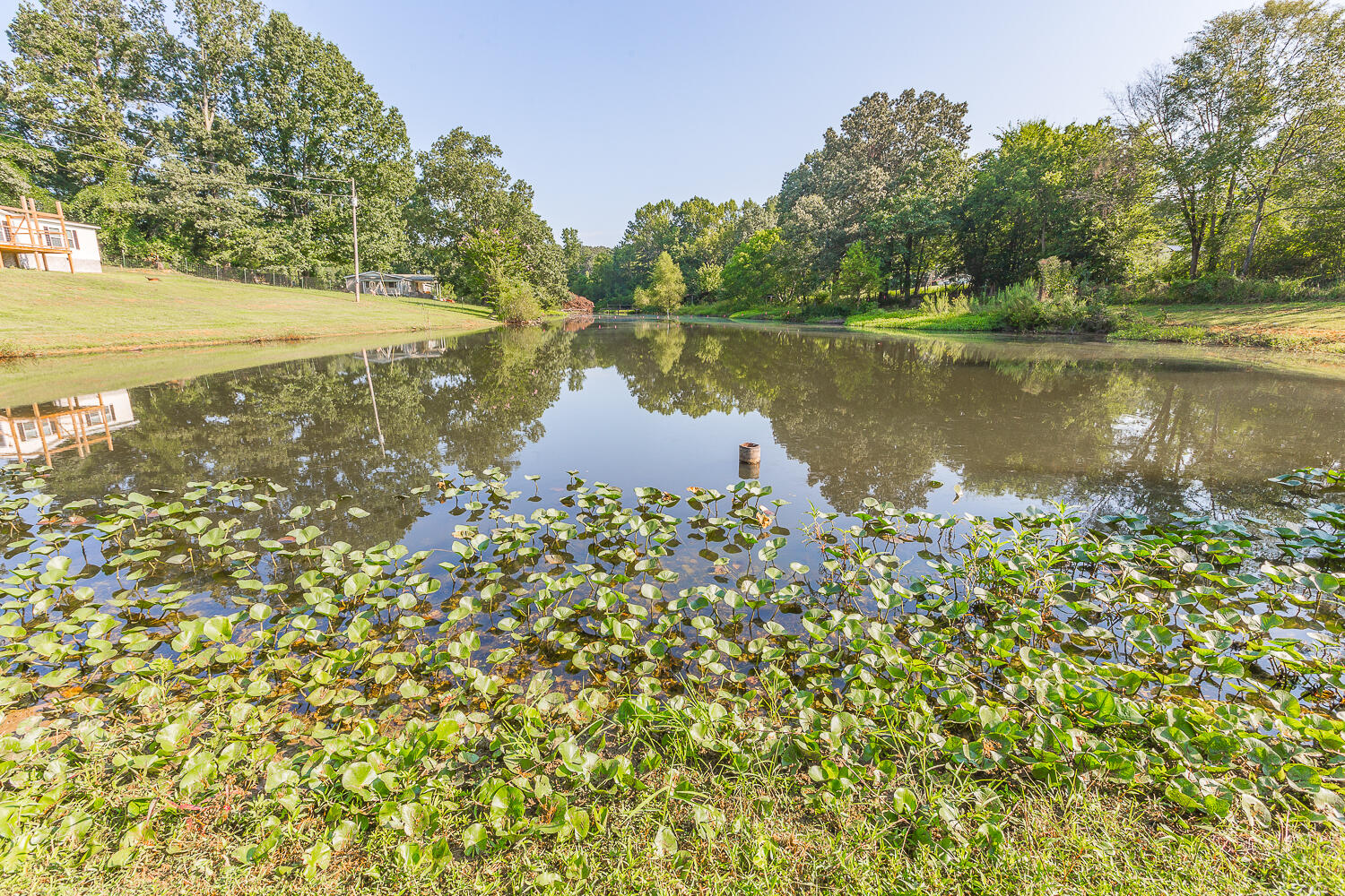 443 Weber Road Crandall, GA 30711 - Photo 35 of 44 443 Webber Road HD_-8
