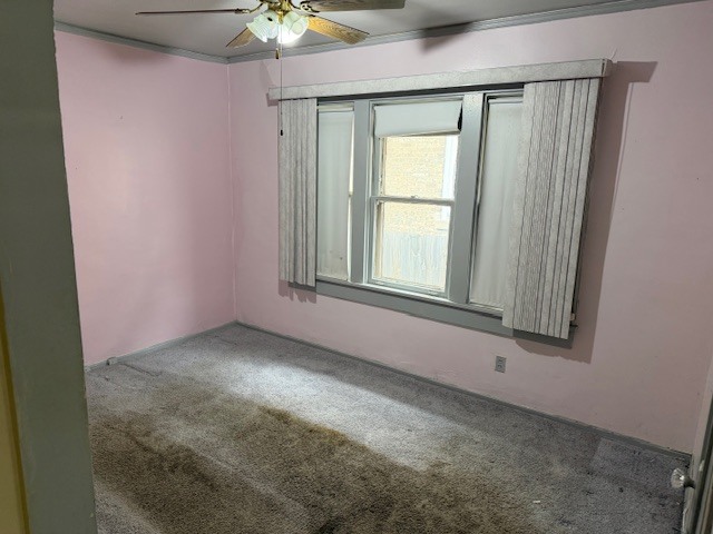 4847 West Deming Place Chicago, IL 60639 - Photo 7 of 12