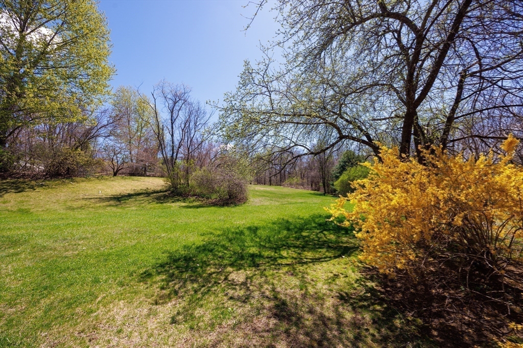 42 Stowe Road Grafton, MA 01519 - Photo 29 of 36 Gallery Image 29