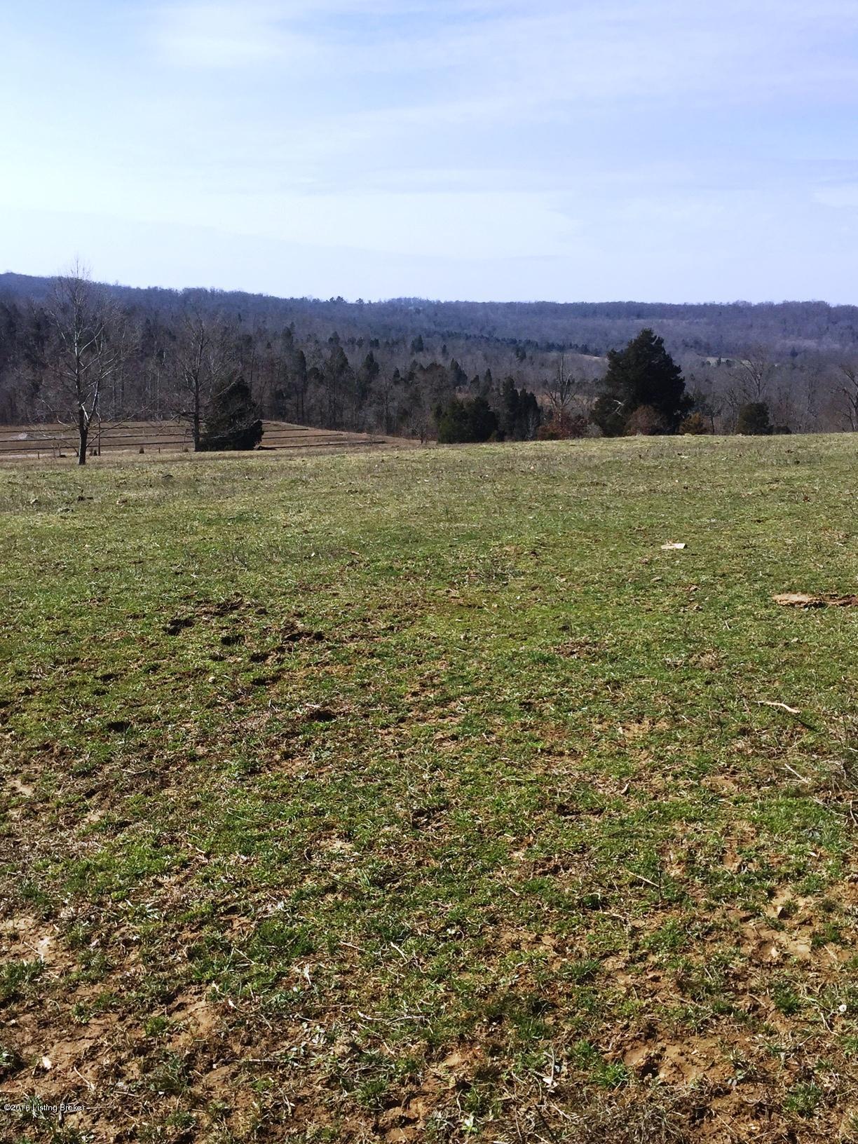 265 Rhodelia Road Payneville, KY 40157 - Photo 21 of 30 IMG_0692