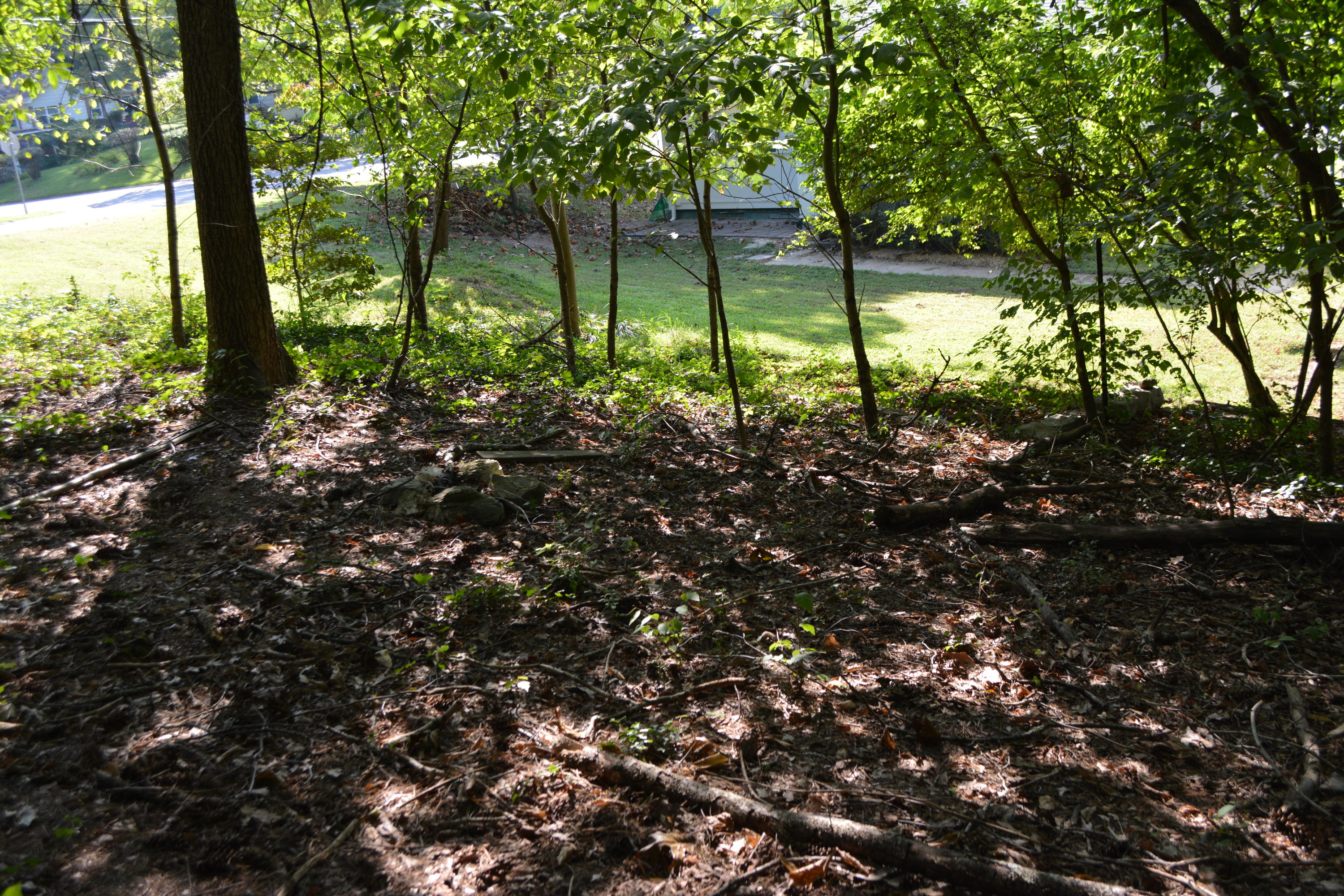 100 Keystone Lane Oak Ridge, TN 37830 - Photo 22 of 28 Back area