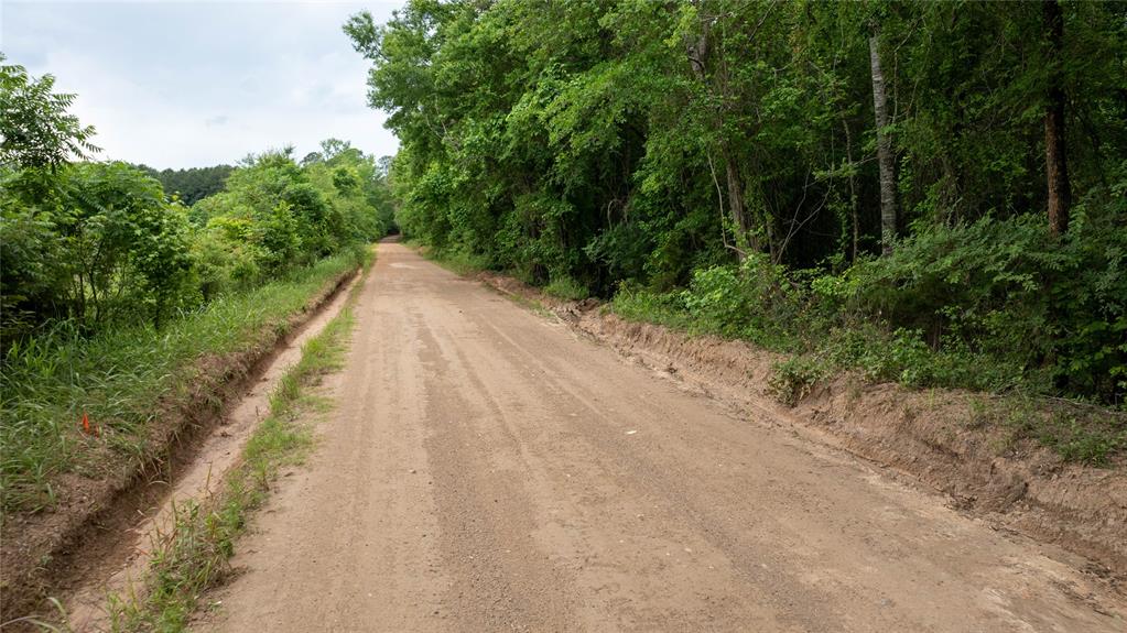 0 Victory School Road Avinger, TX 75630 - Photo 6 of 6 a view of a road with a yard