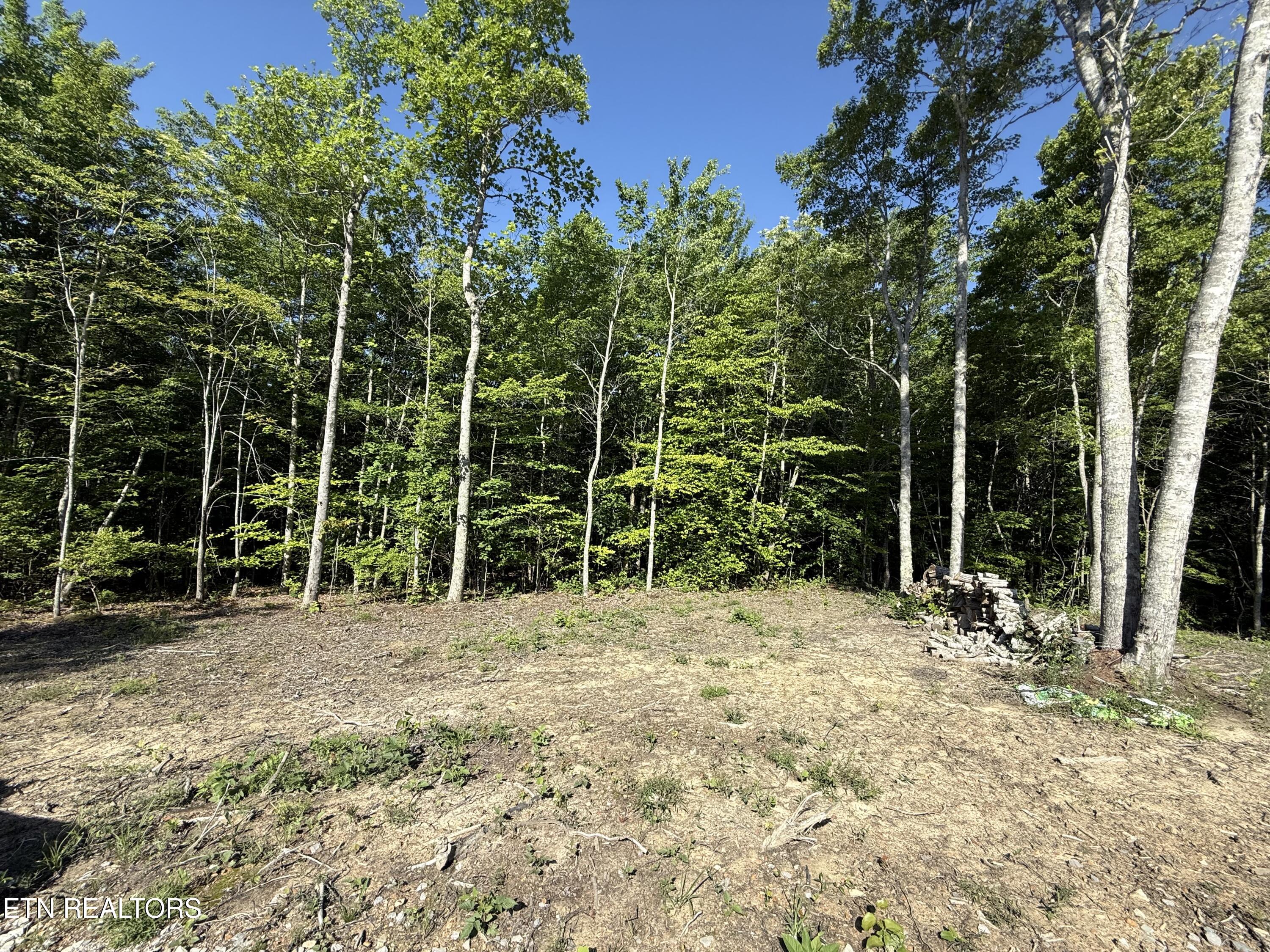 969 Lewallen Road Sunbright, TN 37872 - Photo 9 of 21 IMG_4304