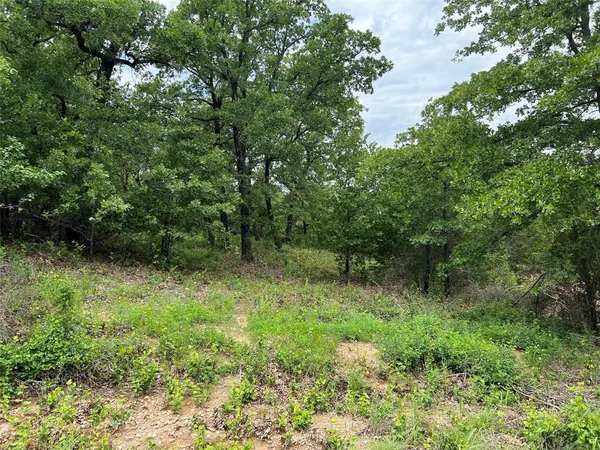 $30,000 | 103 Seneca Trail North, Nocona, TX 76255