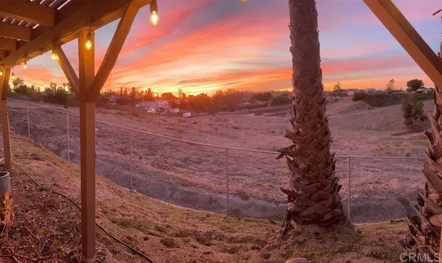 a view of a yard with a tree