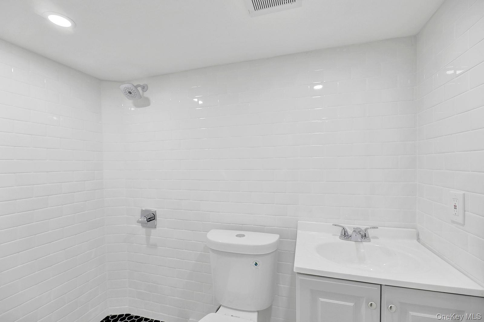 217-14 133rd Road Queens, NY 11413 - Photo 28 of 32 a bathroom with a sink a toilet and shower