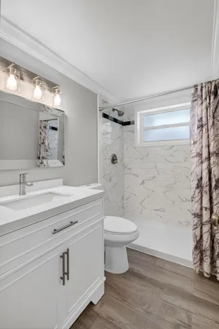 a close up of a plant in a garden