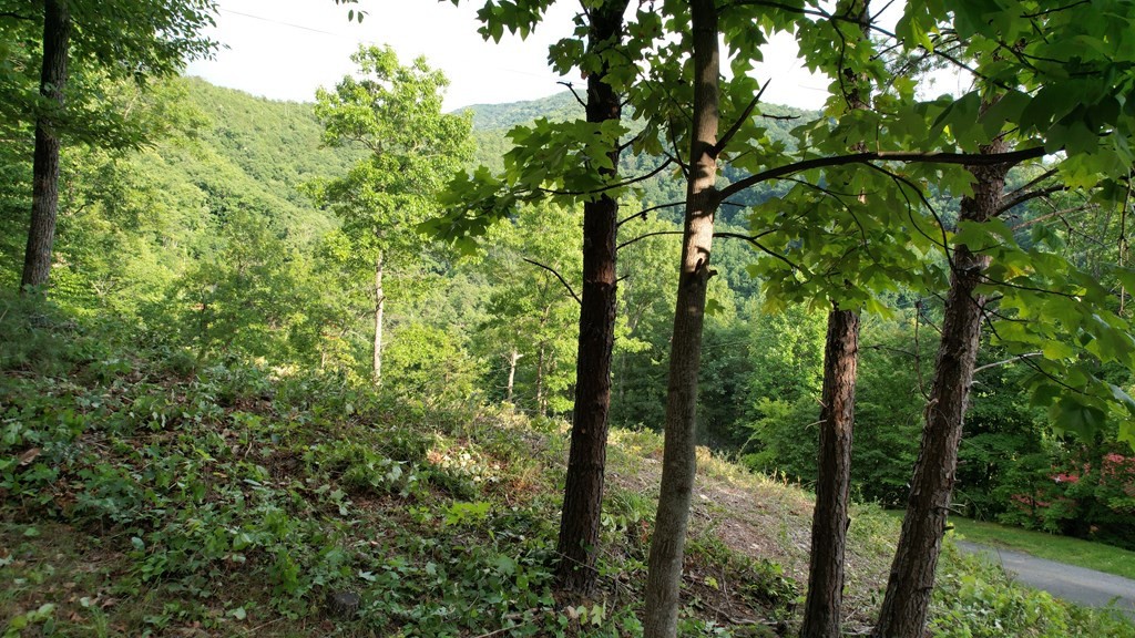 0 Trapper John Way Sevierville, TN 37862 - Photo 4 of 18