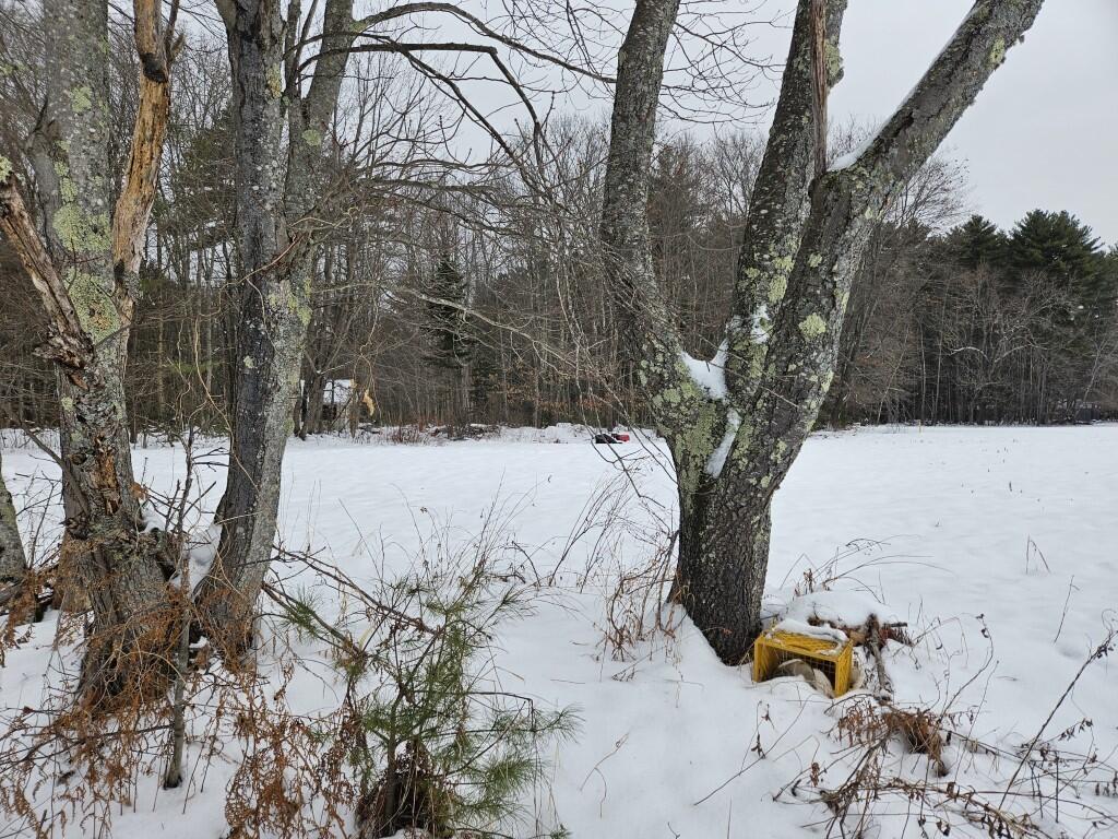 33 North Fryeburg Road Fryeburg, ME 04037 - Photo 29 of 36 27 East corner looking at abutting camp