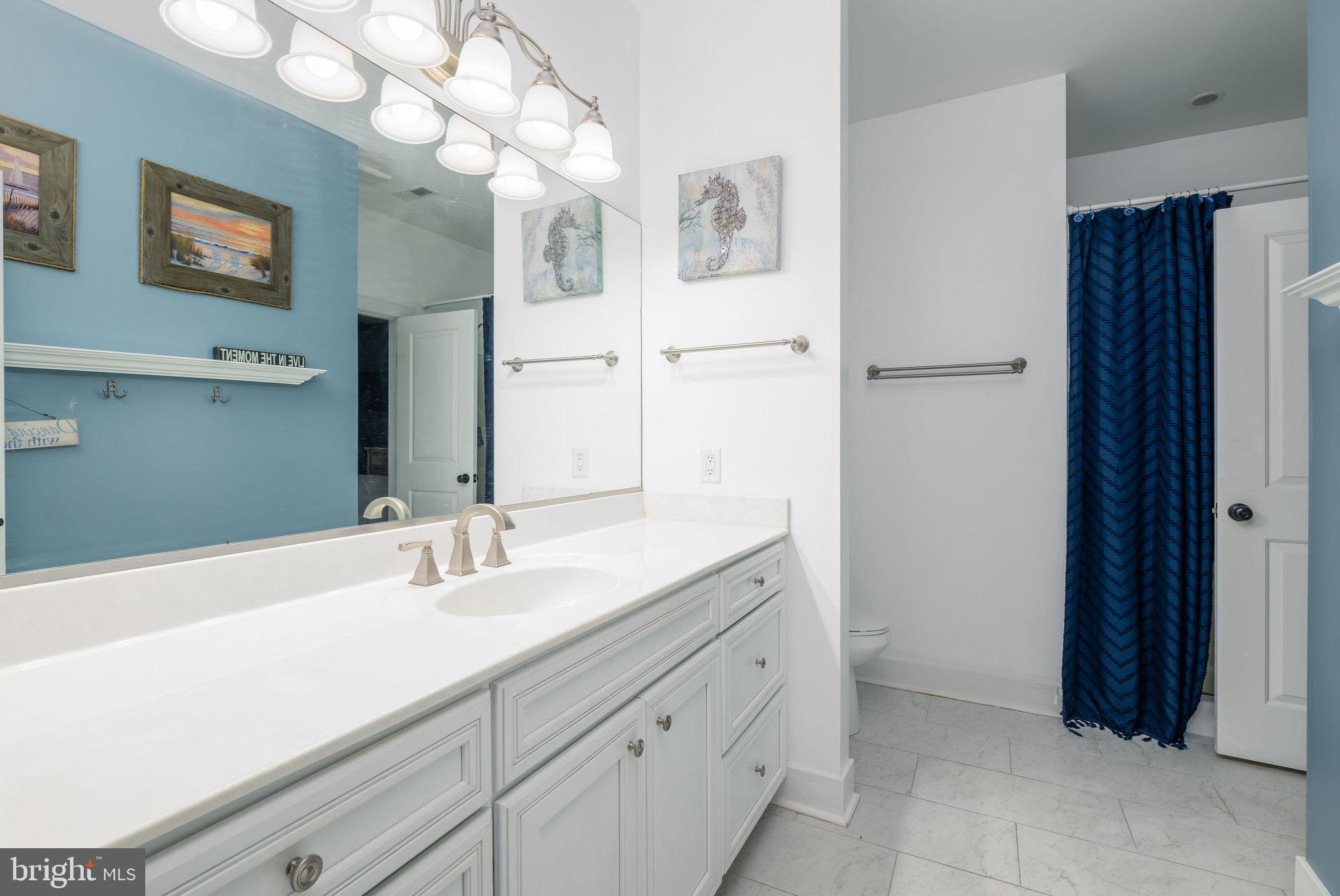 34085 Creek Road Dagsboro, DE 19939 - Photo 23 of 57 Downstairs Communal Full bathroom