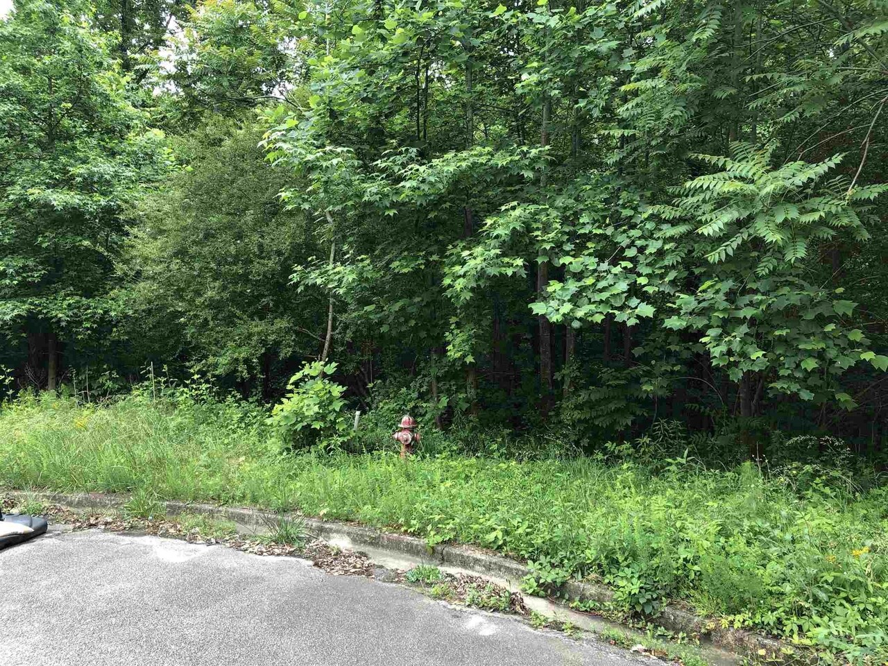 0 Overlook Trace, Unit 16 Commerce, GA 30529 - Photo 1 of 1
