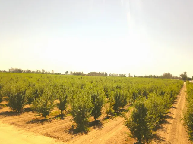 a view of lake and mountain