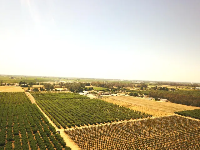 an aerial view of residential building and ocean view
