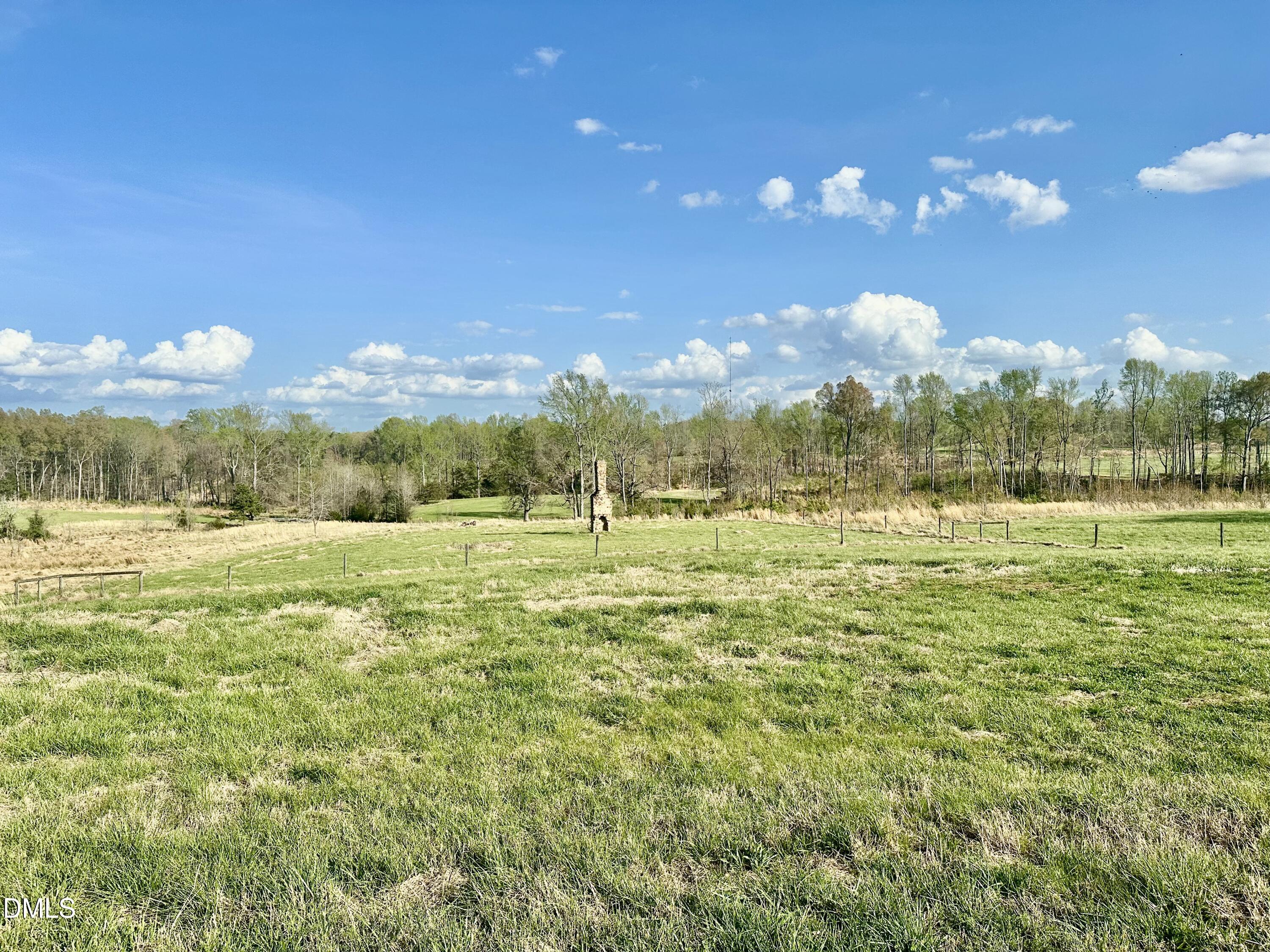7.28-acres Jones Road Hurdle Mills, NC 27541 - Photo 14 of 15 a view of large trees and a yard
