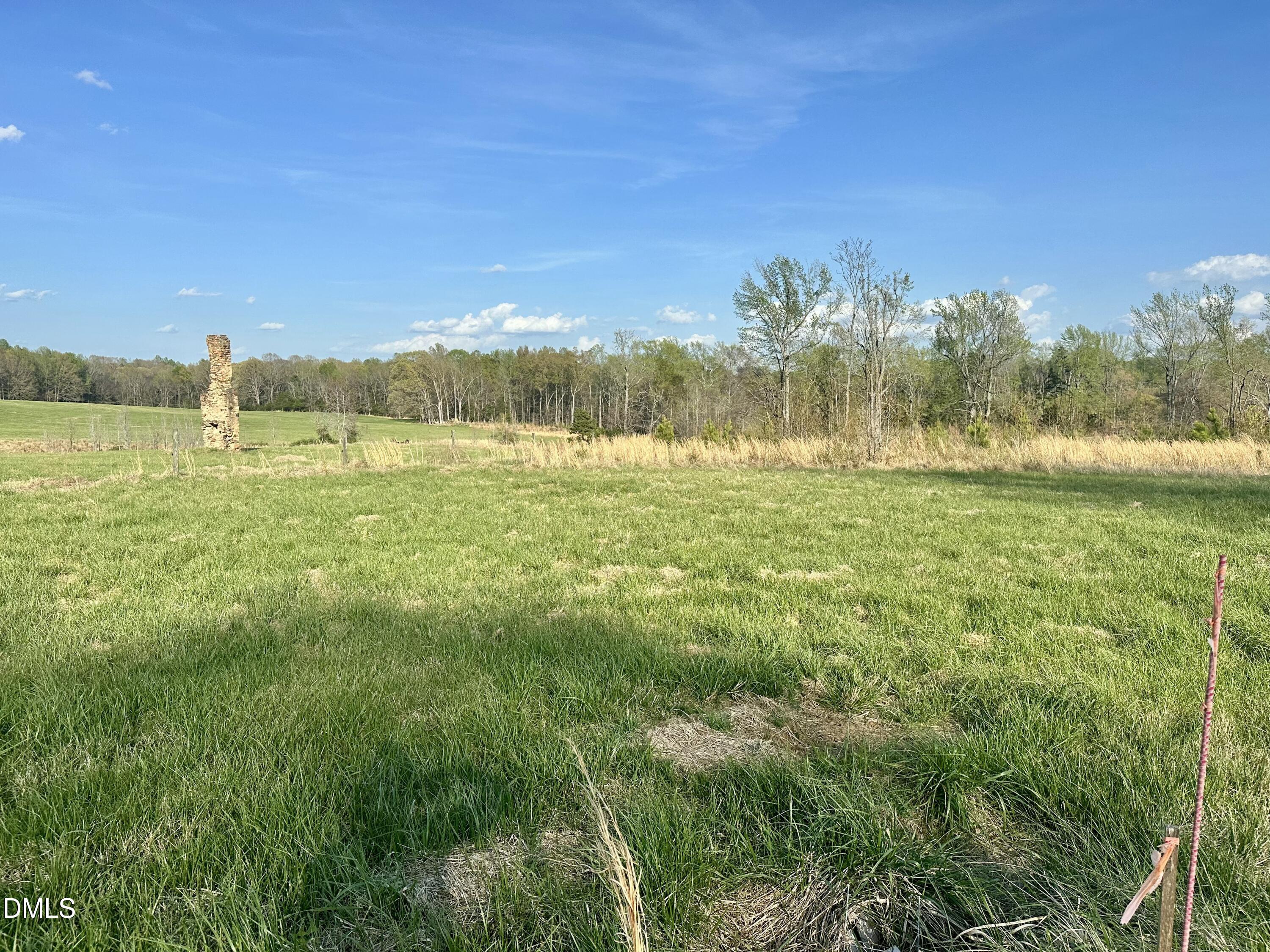 7.28-acres Jones Road Hurdle Mills, NC 27541 - Photo 2 of 15