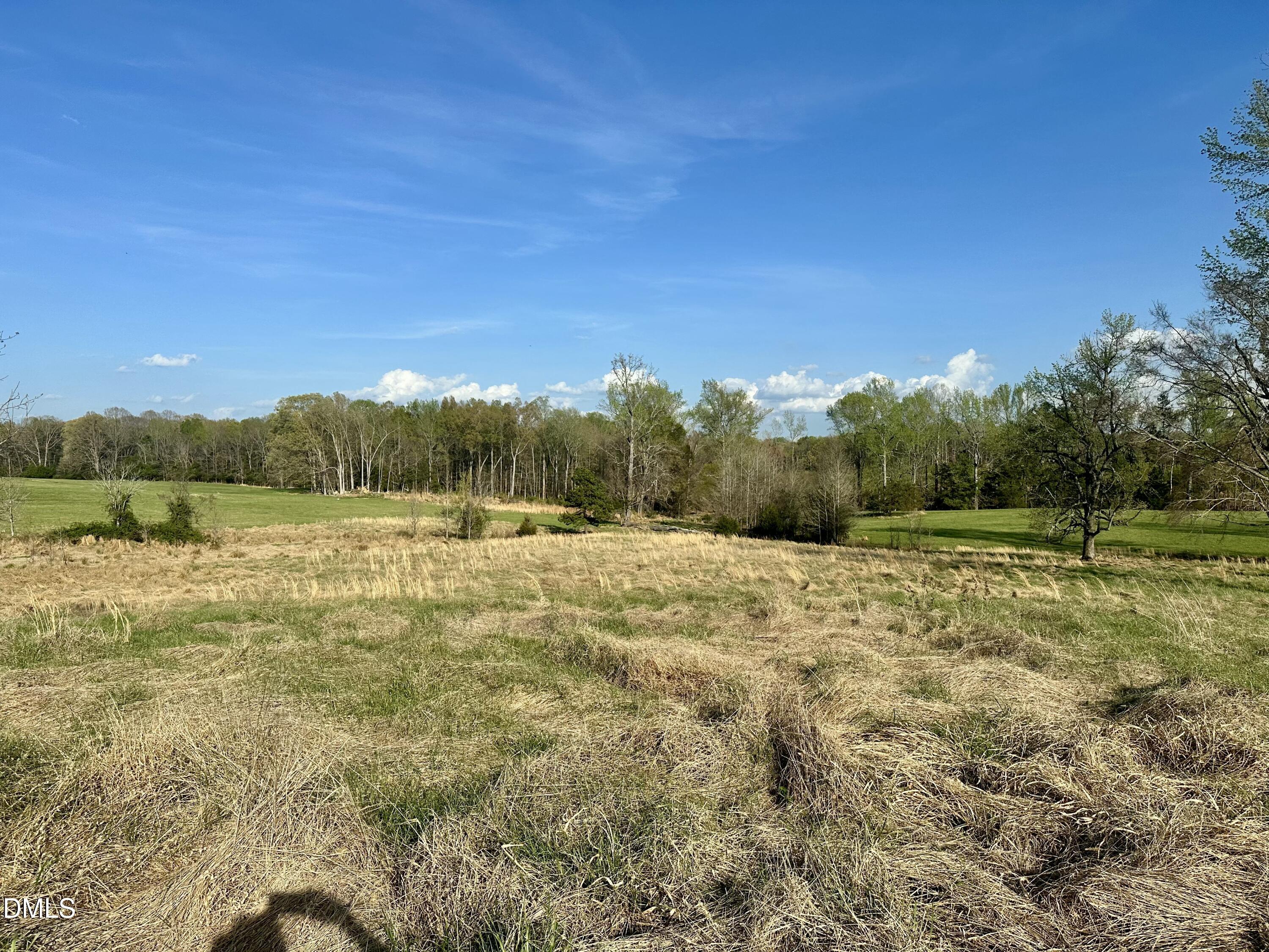 7.28-acres Jones Road Hurdle Mills, NC 27541 - Photo 8 of 15 a view of a outdoor space