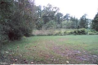 28524 Deal Island Road Princess Anne, MD 21853 - Photo 2 of 4