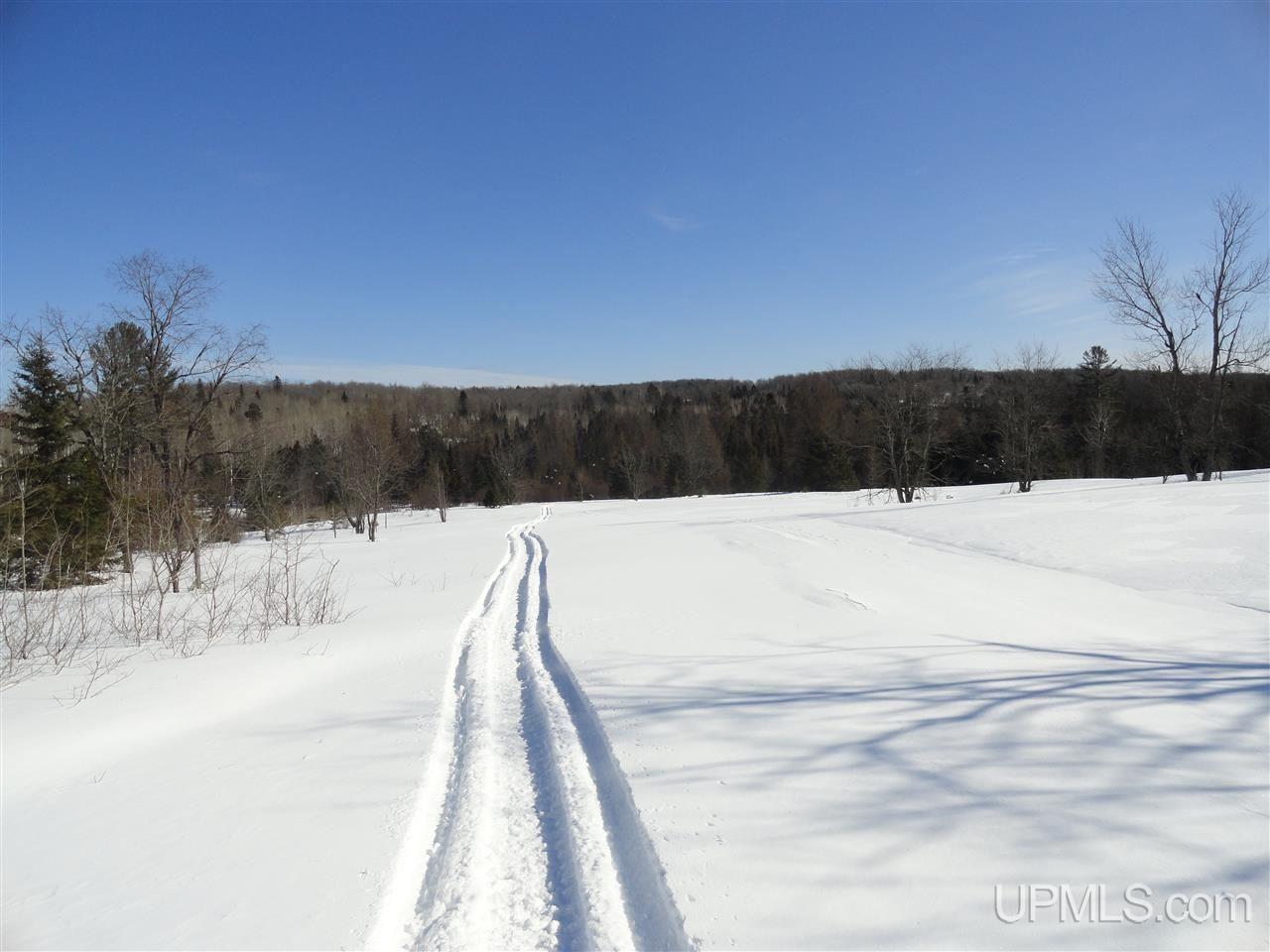180-acres Lind Road Crystal Falls, MI 49920 - Photo 4 of 33 Gallery Image 4