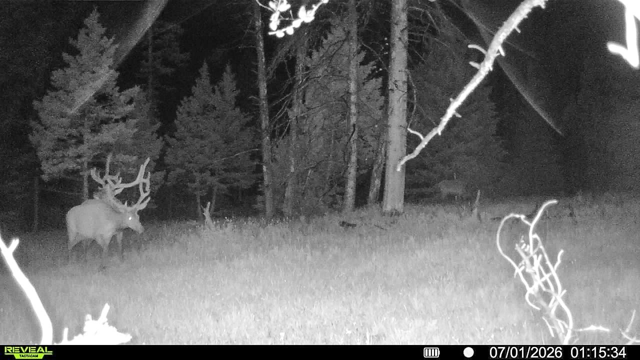 7379 Hahn Creek Road Elliston, MT 59728 - Photo 9 of 69 Gallery Image 9