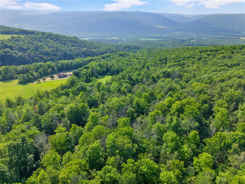 Guinea Road Middleburgh, NY 12122 - Photo 4 of 10