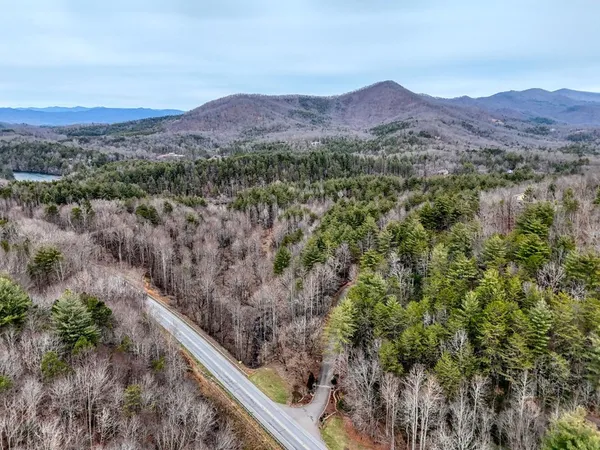 a view of a forest with a mountain in the background