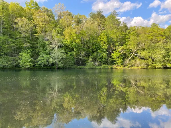 a view of lake