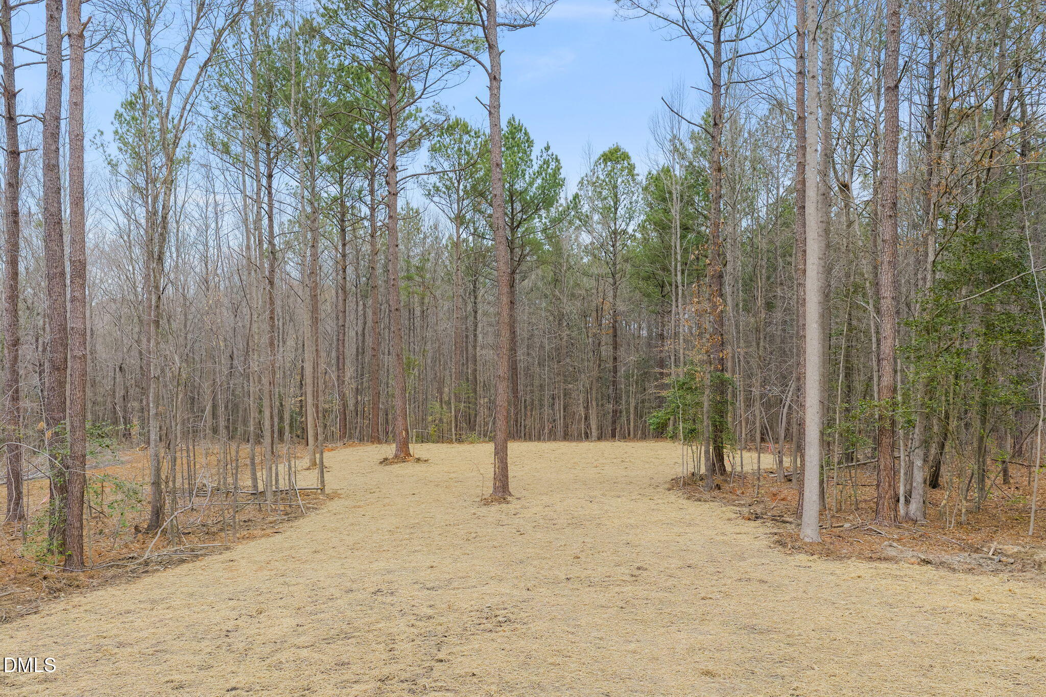 1201 South Big Woods Road Spring Hope, NC 27882 - Photo 42 of 46 39-web-or-mls-untitled-16