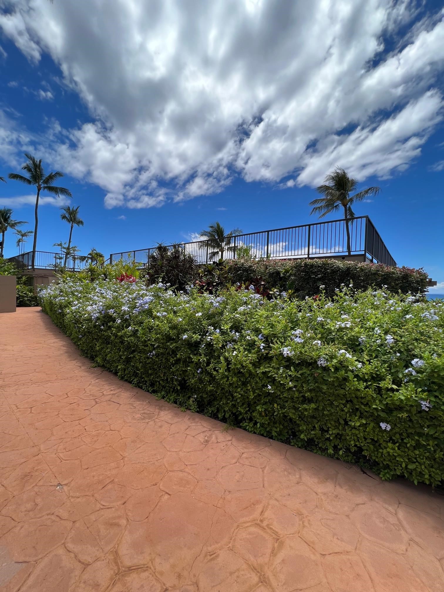 3823 Lower Honoapiilani Road, Unit 211 Lahaina, HI 96761 - Photo 33 of 34 a view of a garden