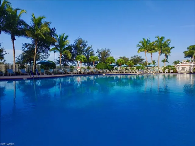 a view of a lake with palm trees