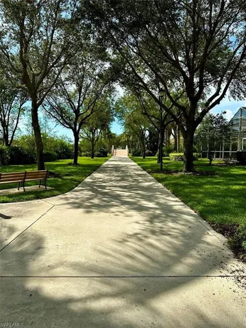 a view of a yard with plants and trees
