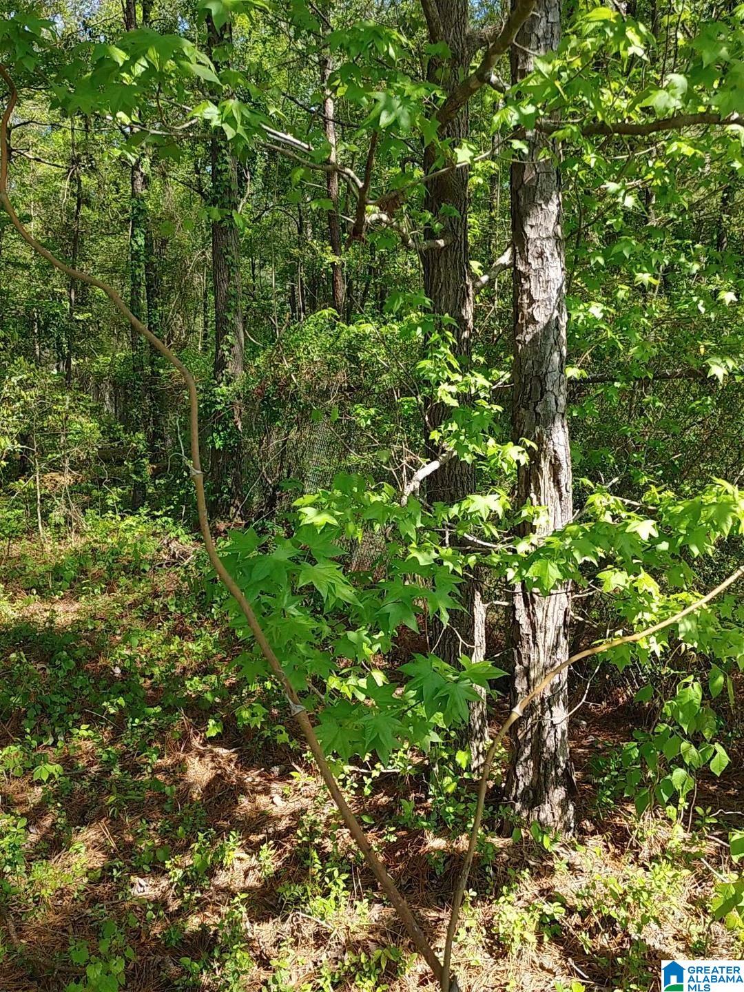 Hamilton Road, Unit 8 3 Odenville, AL 35120 - Photo 1 of 1