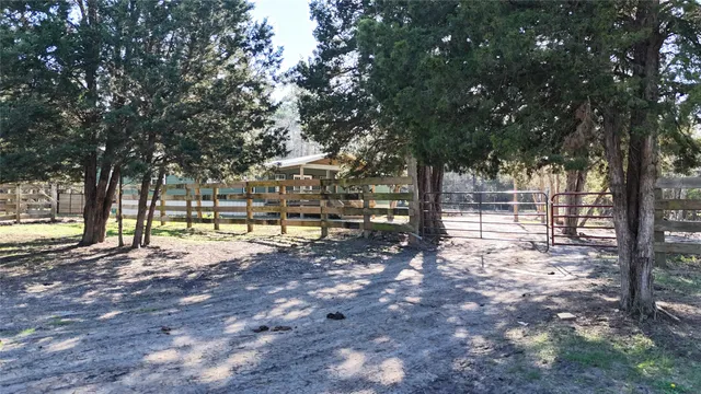 a view of a yard with tree s