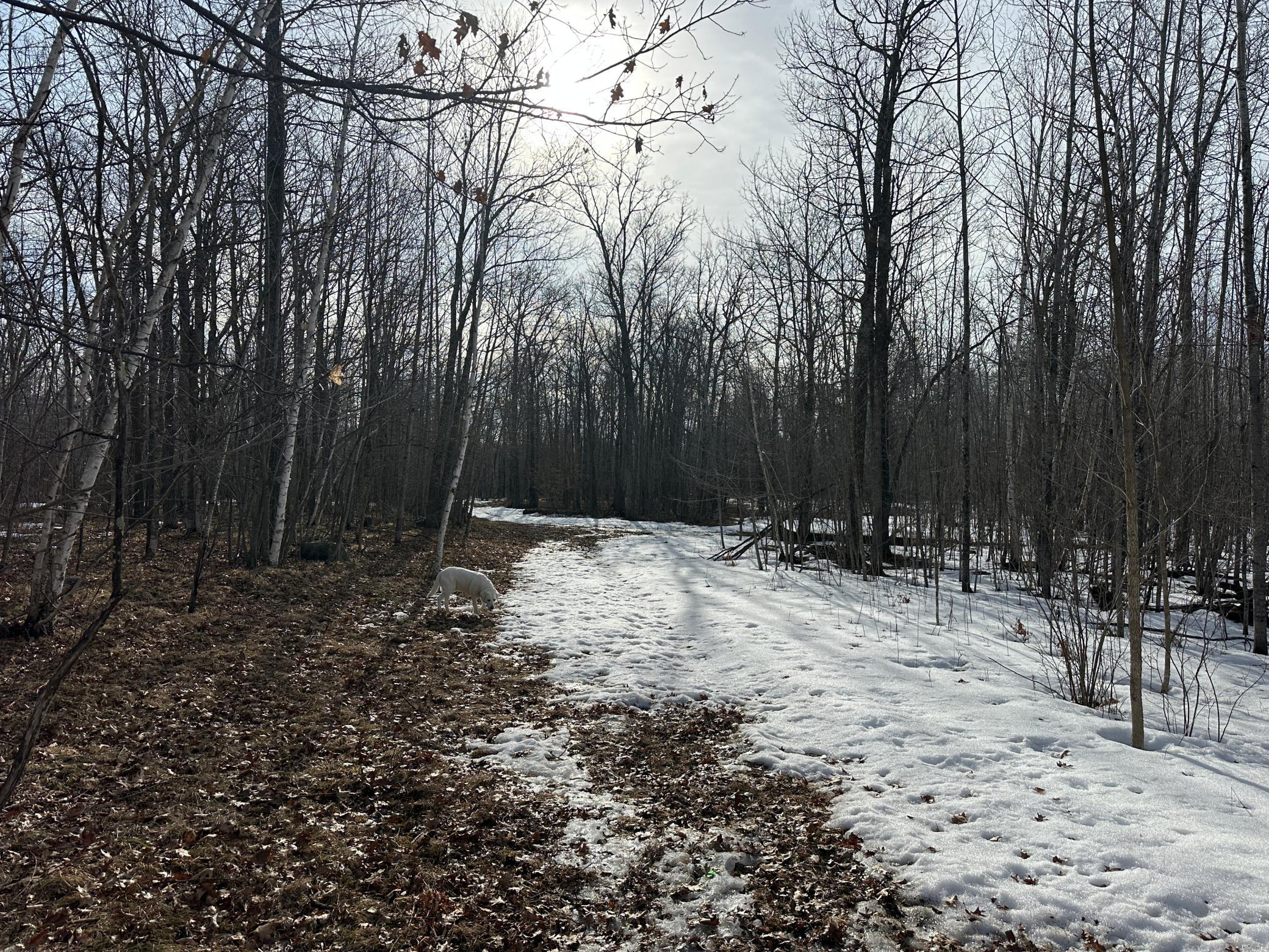Tbd 315th Avenue Laporte, MN 56461 - Photo 13 of 39