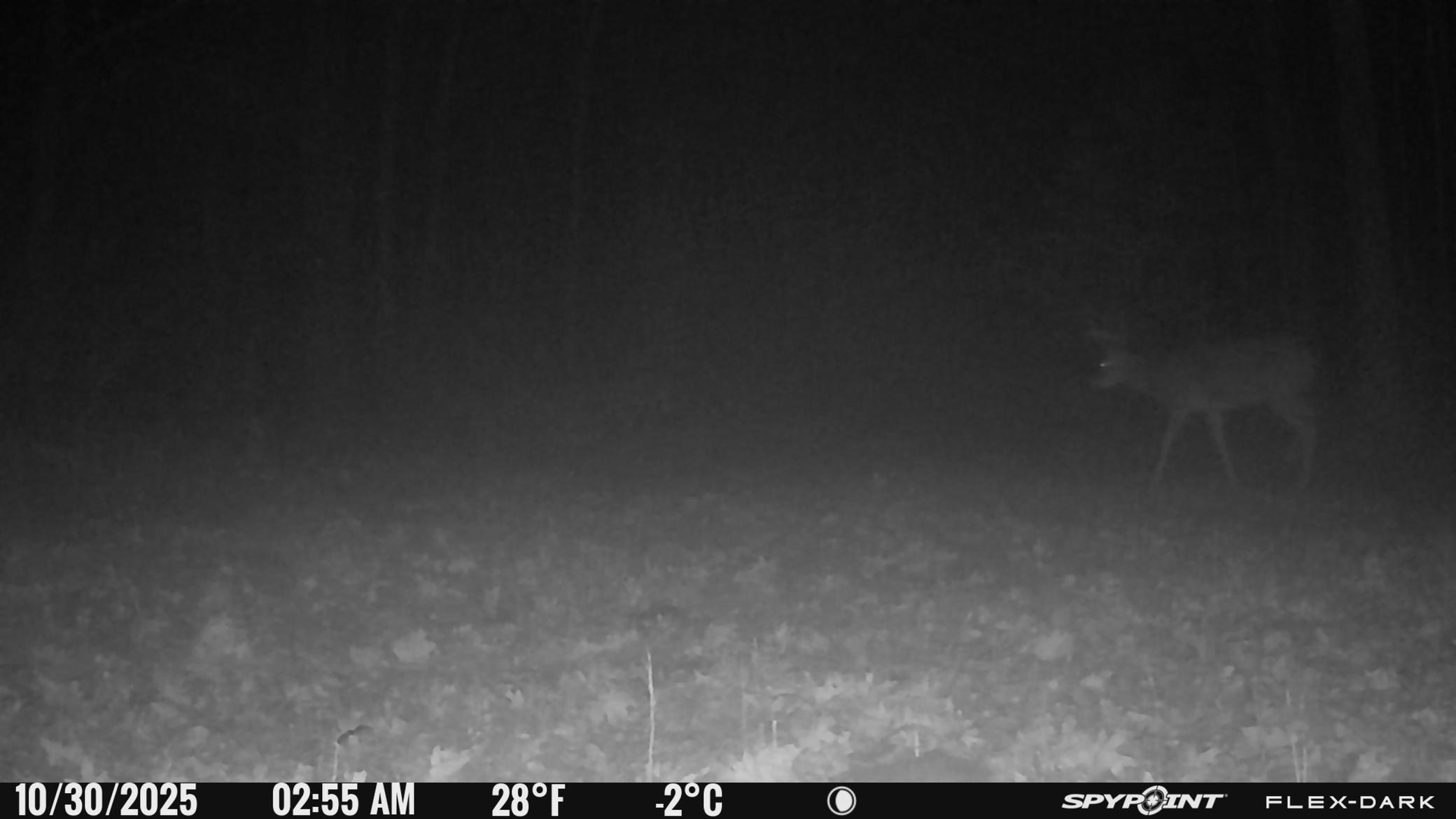 Tbd 315th Avenue Laporte, MN 56461 - Photo 28 of 39