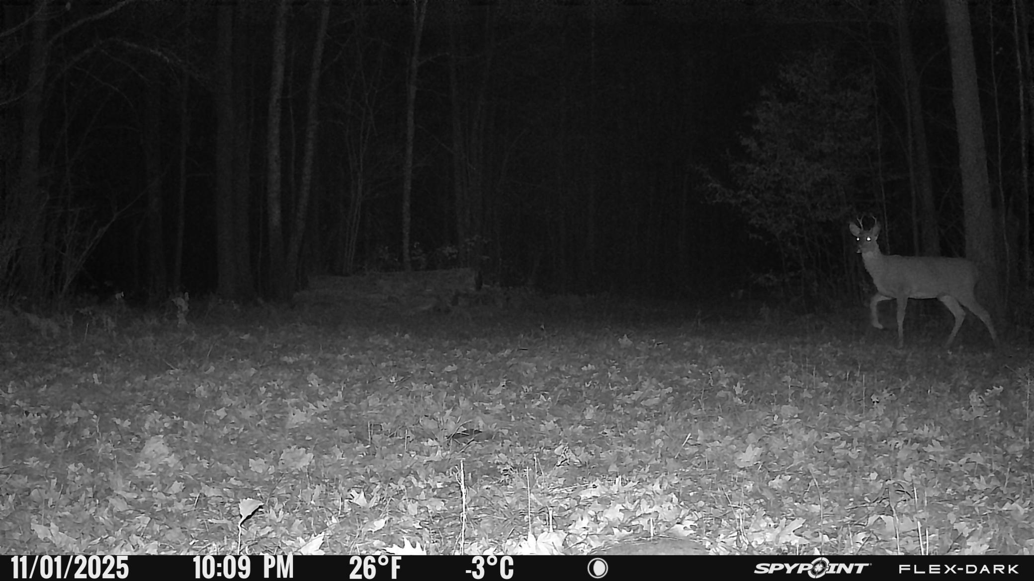 Tbd 315th Avenue Laporte, MN 56461 - Photo 29 of 39