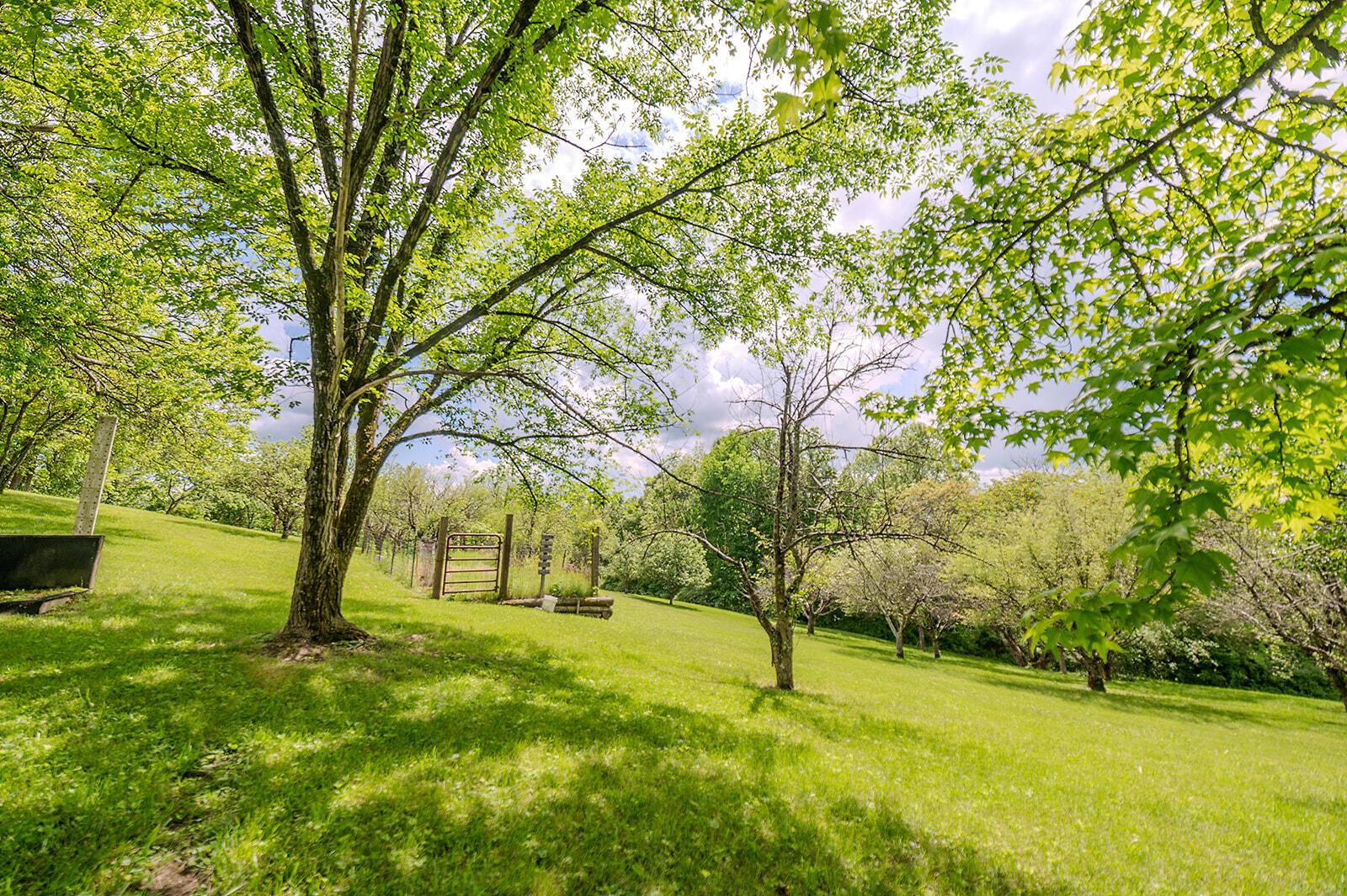 8700 Wood Road Chesterhill, OH 43728 - Photo 20 of 51 DSC_6042