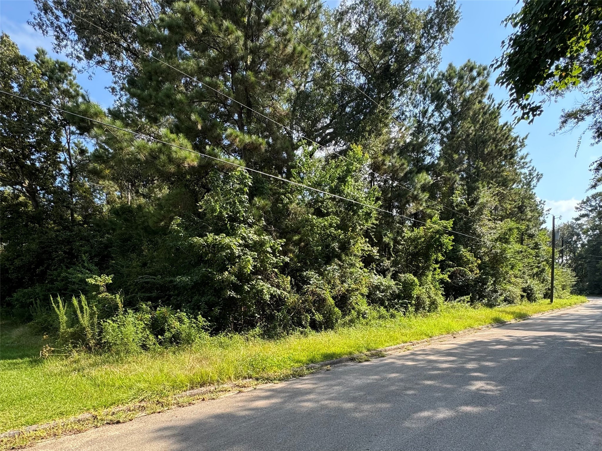 a view of street view