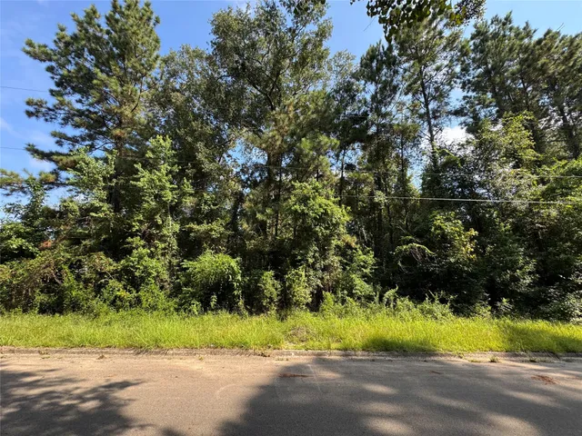 a view of a yard with plants and trees