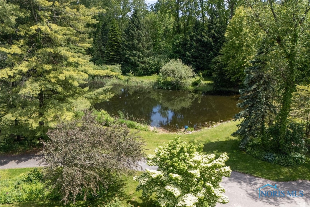 12949 Shaffer Road Swanton, OH 43558 - Photo 41 of 50 Stunning 1/2 acre Pond