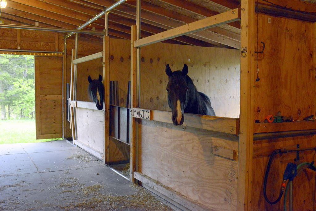 3669 East Hill Road Plainfield, VT 05667 - Photo 33 of 40
