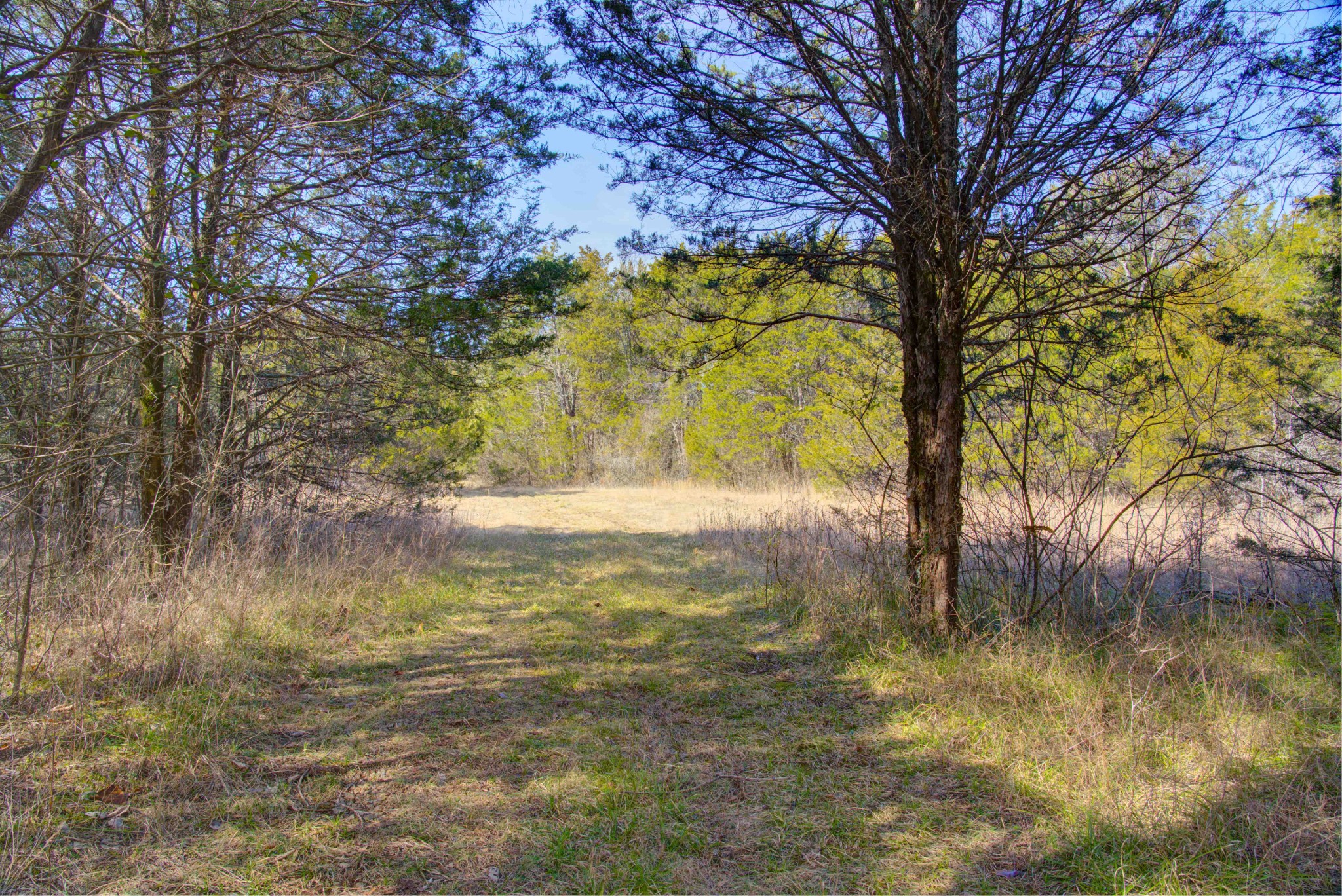 3447 Pugh Road Hermitage, TN 37076 - Photo 50 of 58 Gallery Image 50