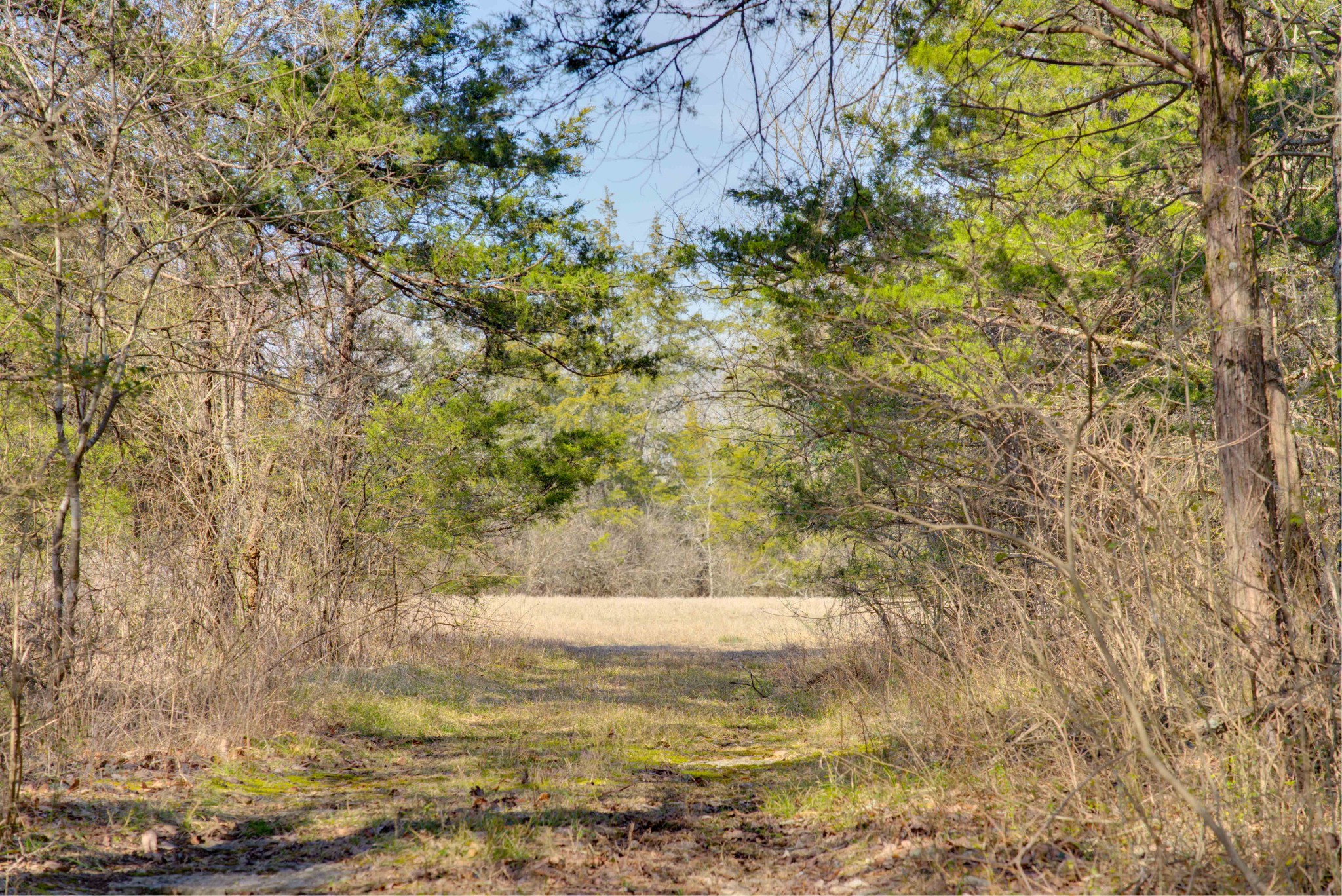 3447 Pugh Road Hermitage, TN 37076 - Photo 52 of 58 Gallery Image 52