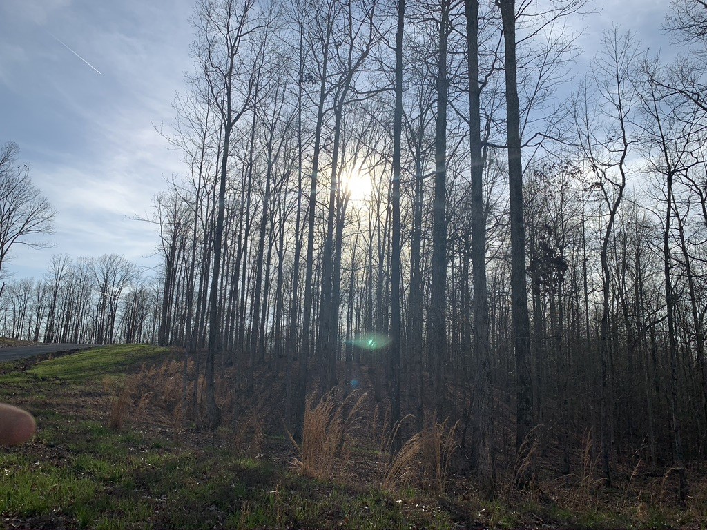 a backyard of a house