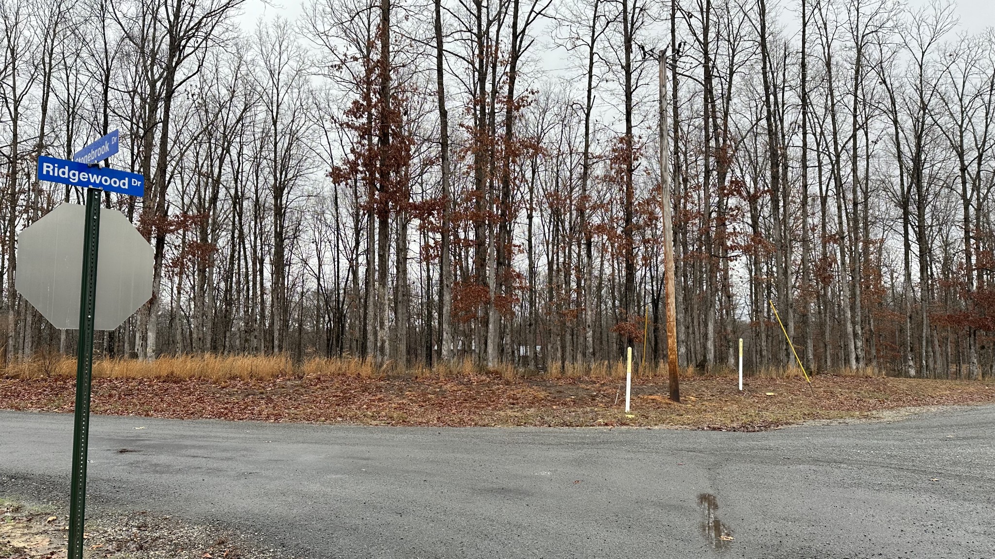 1385 Ridgewood Drive McEwen, TN 37101 - Photo 15 of 17 a backyard of a house with lots of green space