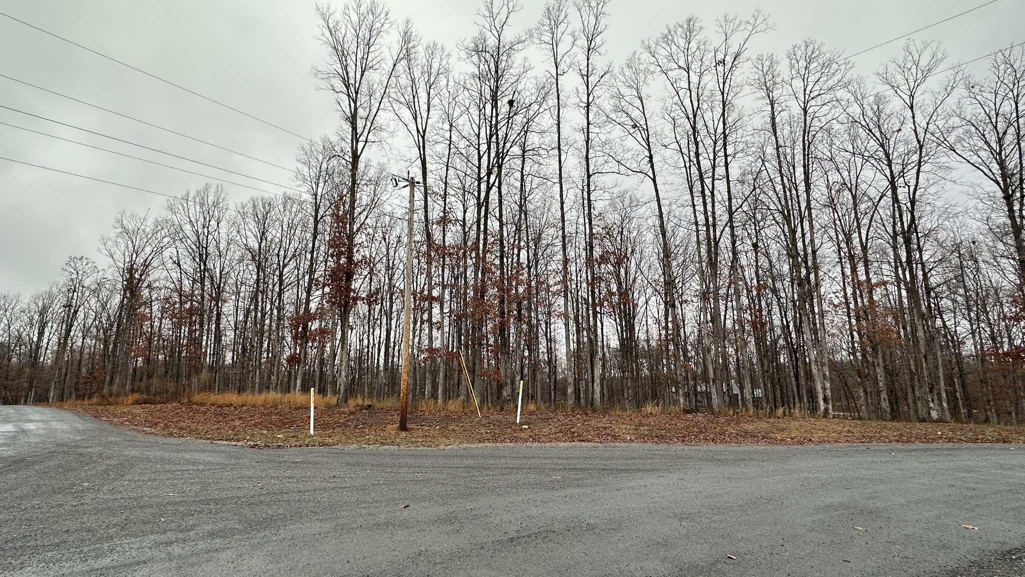 1385 Ridgewood Drive McEwen, TN 37101 - Photo 16 of 17 a view of a backyard of the house