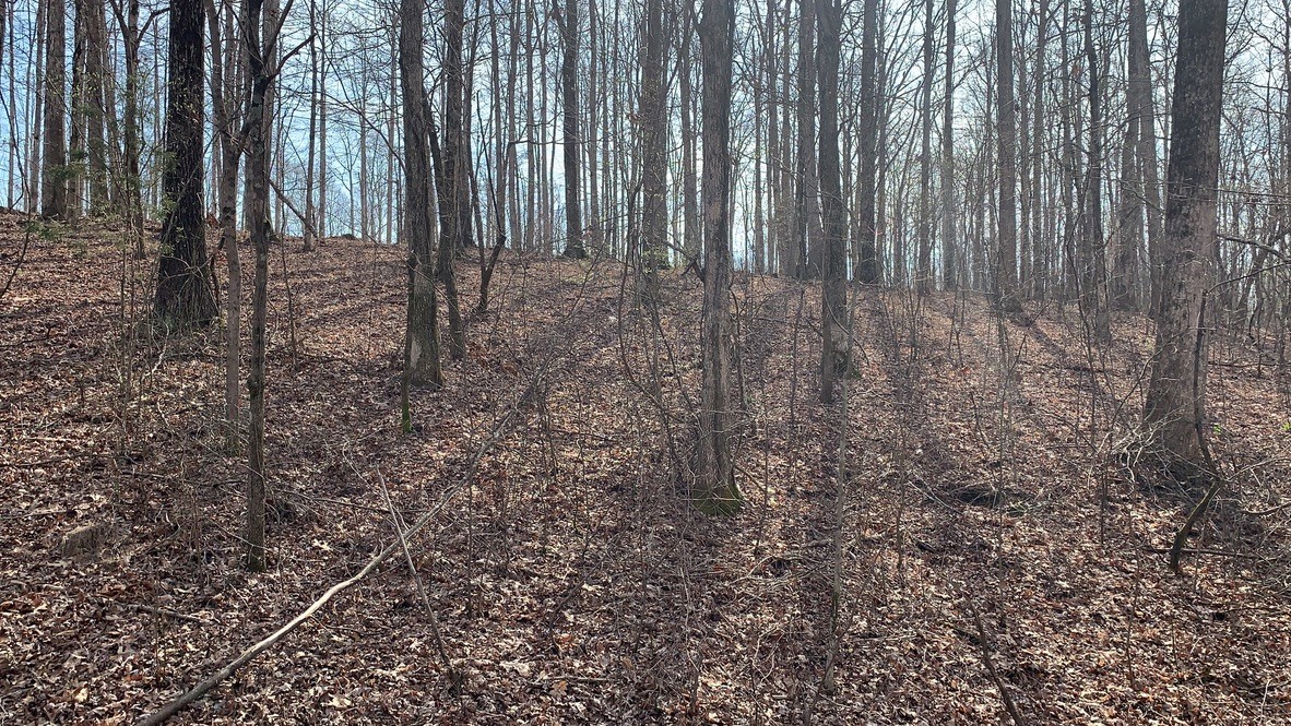 1385 Ridgewood Drive McEwen, TN 37101 - Photo 2 of 17 a view of wooden fence
